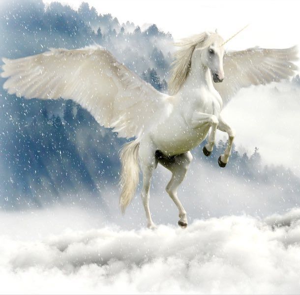 comprar-mierda-unicornio comprar mierda de unicornio