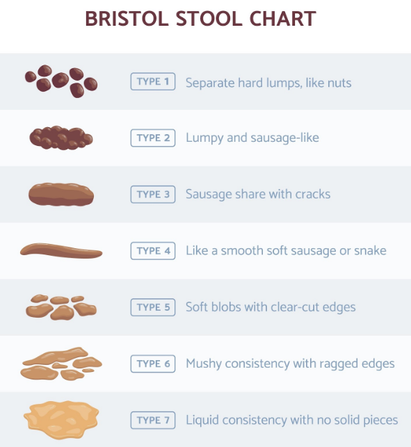 escala de bristol